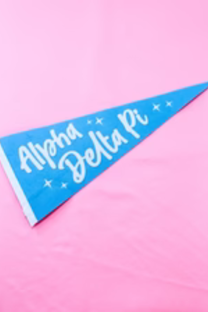 Sorority Stardust Pennant Flag