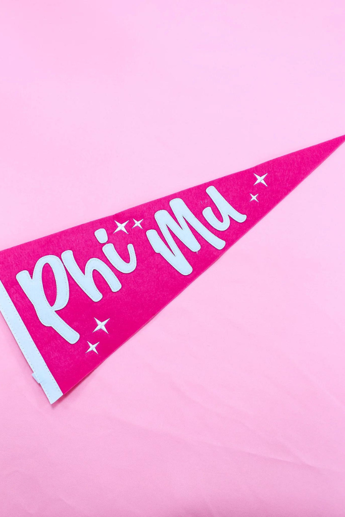 Sorority Stardust Pennant Flag