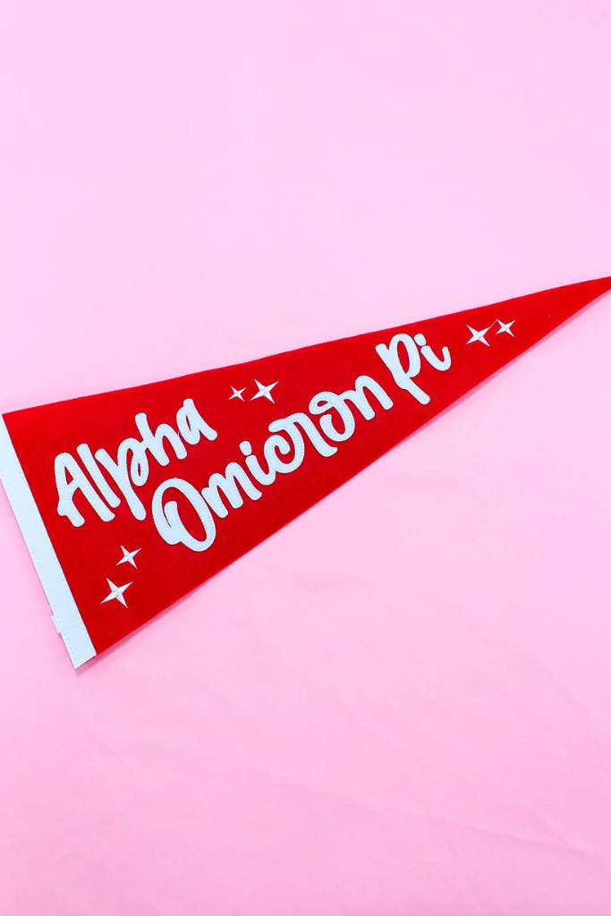 Sorority Stardust Pennant Flag