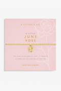 A LIttle 'Birth Flower' Bracelet - Gold