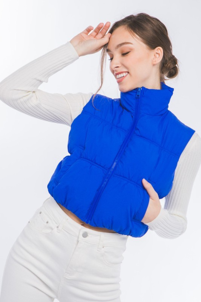 Cabin Bound Puffer Vest - Blue