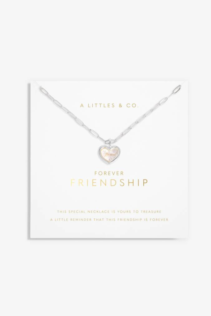 A Little &#039;Forever Friendship&#039; Necklace- Silver