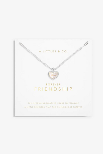 A Little &#039;Forever Friendship&#039; Necklace- Silver