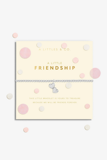 A Little Confetti Friendship Bracelet - Silver